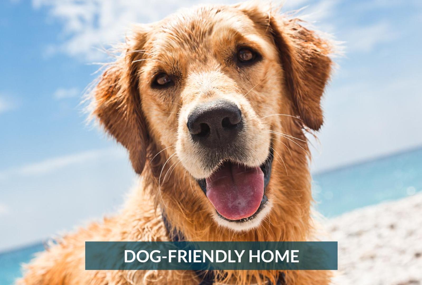 4011 The Dogs House 2 Min Walk To Beach คิตตีฮอว์ก ภายนอก รูปภาพ